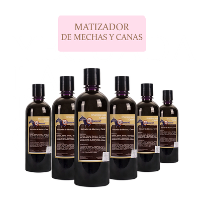 6 pz shampoo matizador de Mechas y Canas