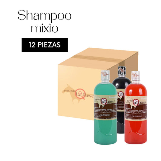 12 pz shampoo mixto