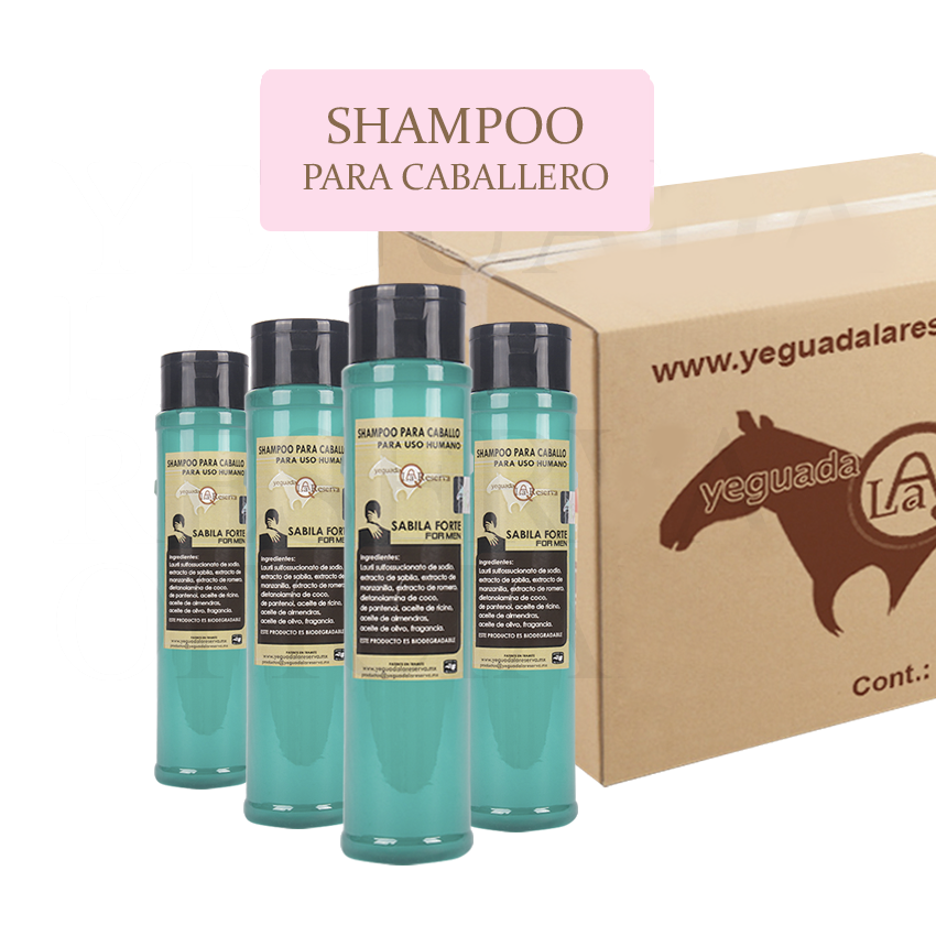 12 pc Shampoo Aloe Vera Forte For Men